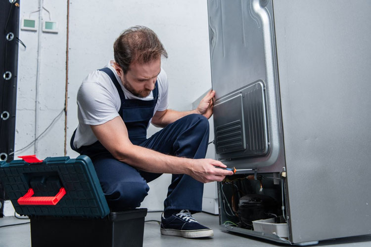fridge service